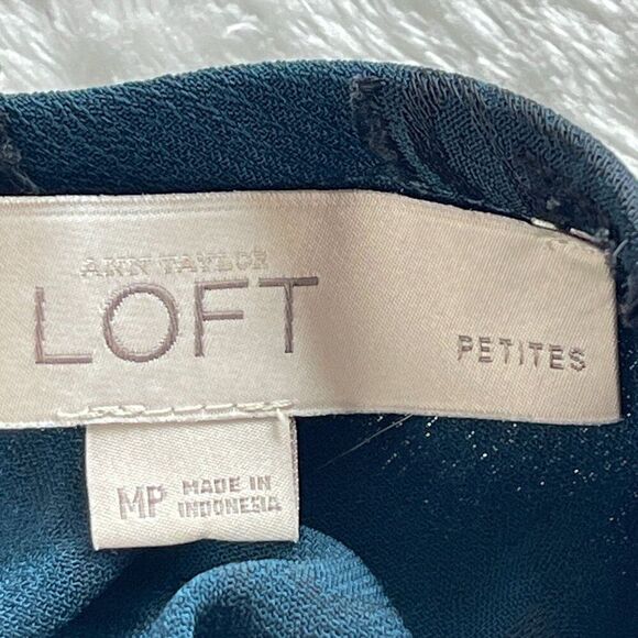 Ann Taylor Loft Floral Velvet Burnout Blouse Womens MP Blue Boho Dark Academia - Picture 4 of 13